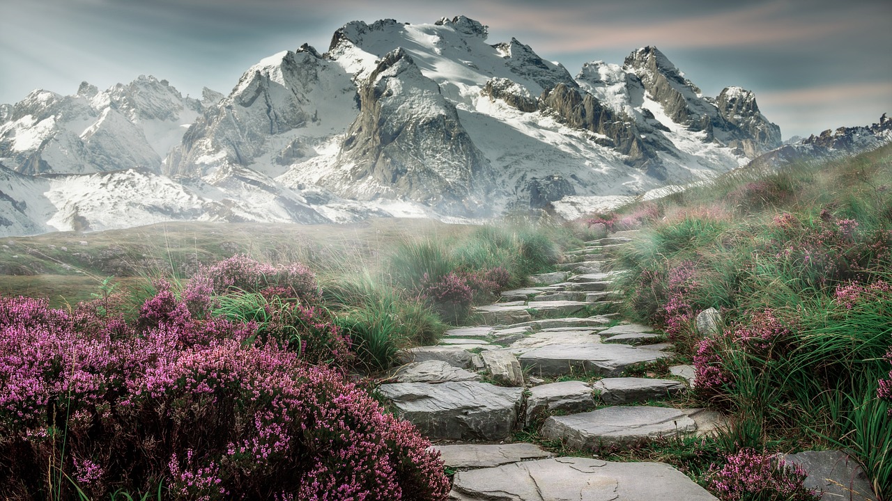 mindset: cultivating resilience