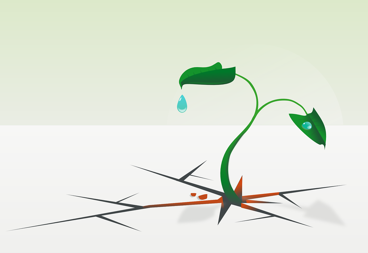 How do successful entrepreneurs handle failure and bounce back stronger?