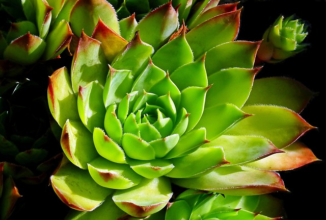 How Can You Create a Company Culture That Drives Innovation?