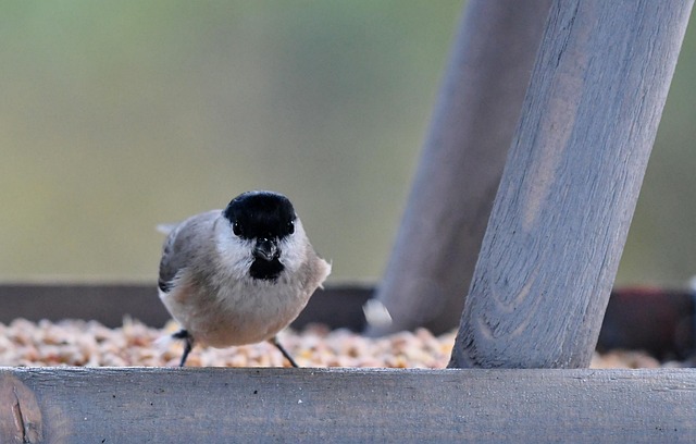 How Can You Make Your Business More Recession-Proof?